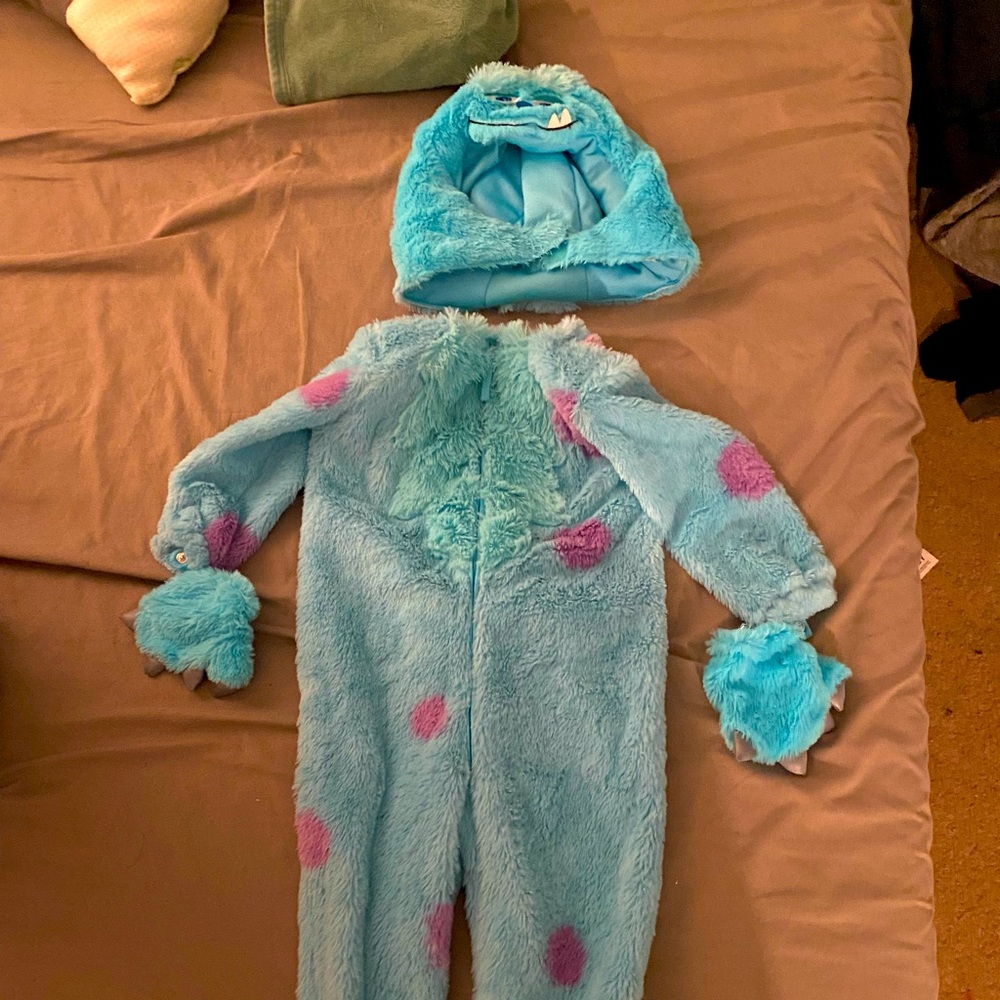 Monsters inc sulley costume